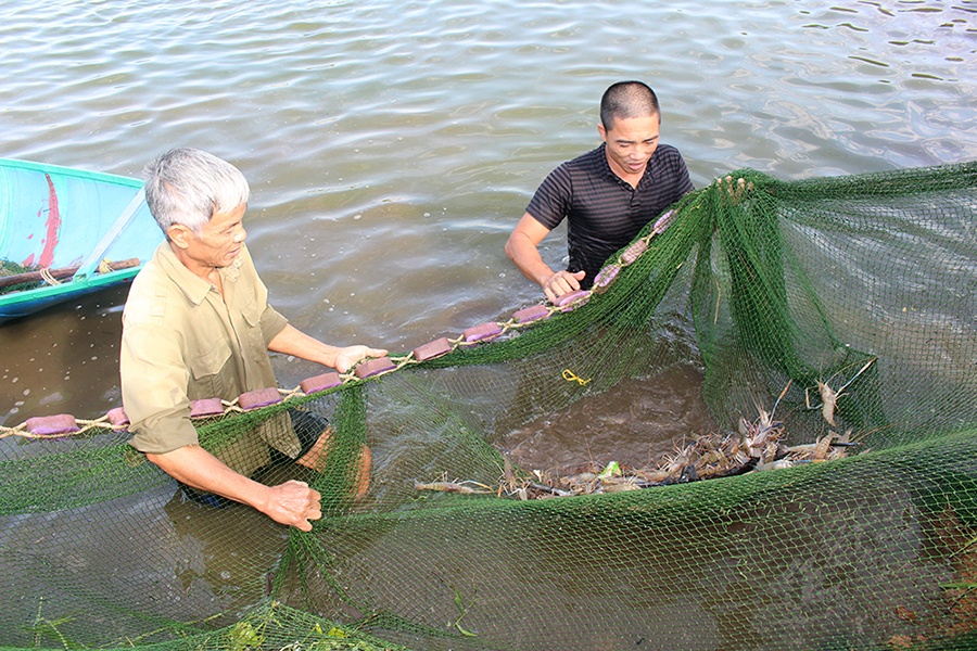 Diện tích nuôi thủy sản trên toàn tỉnh Phú Thọ là 10.200ha, trong đó nuôi thâm canh 1.760ha; bán thâm canh 3.500ha; nuôi tận dụng ở các hồ chứa, ruộng 1 vụ 4.850ha. Tổng sản lượng thủy sản năm 2018 đạt trên 36 nghìn tấn, tăng 225% so với năm 2008.